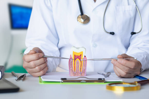 Best Emergency Treatment for Dental Infections or Abscesses in Haddon Heights, NJ